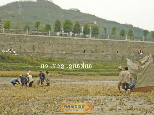 皇冠线上体育