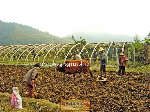 皇冠线上体育