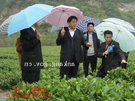皇冠线上体育