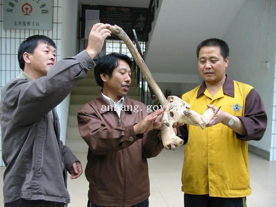 皇冠线上体育