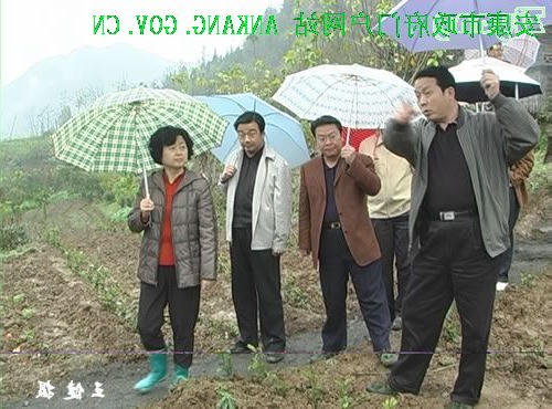 皇冠线上体育