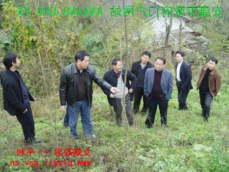 皇冠线上体育