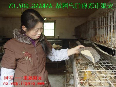 皇冠线上体育