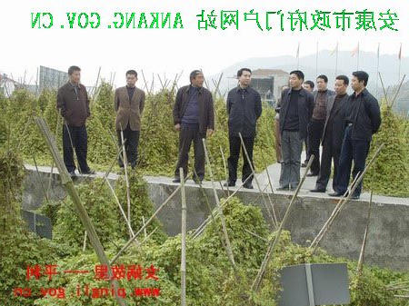 皇冠线上体育