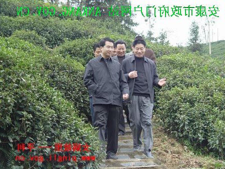 皇冠线上体育