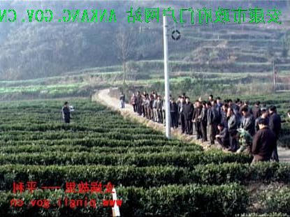 皇冠线上体育