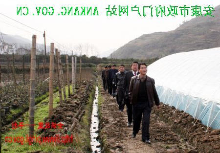 皇冠线上体育