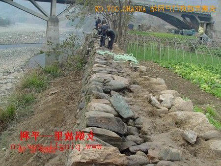 皇冠线上体育