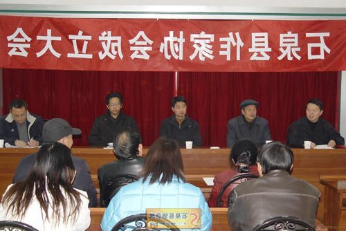 皇冠线上体育