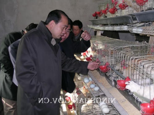 皇冠线上体育