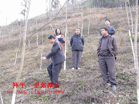 皇冠线上体育