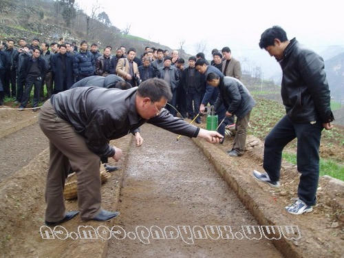 皇冠线上体育