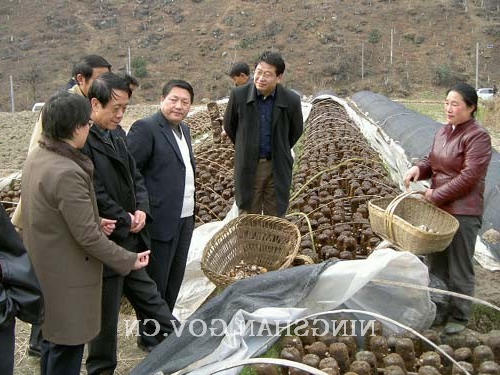 皇冠线上体育