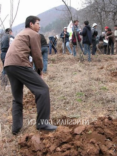 皇冠线上体育