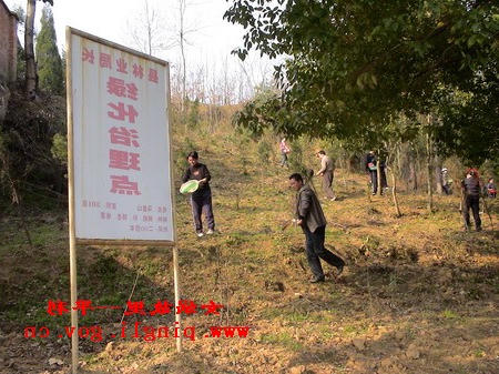 皇冠线上体育