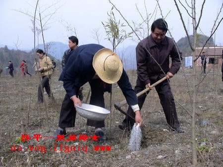 皇冠线上体育