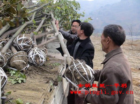 皇冠线上体育