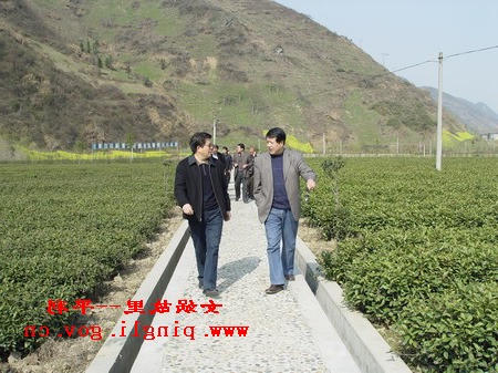 皇冠线上体育