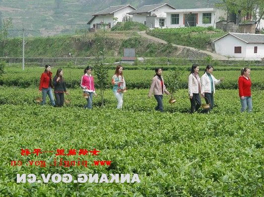 皇冠线上体育