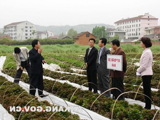 皇冠线上体育