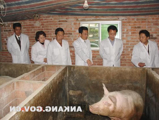 皇冠线上体育