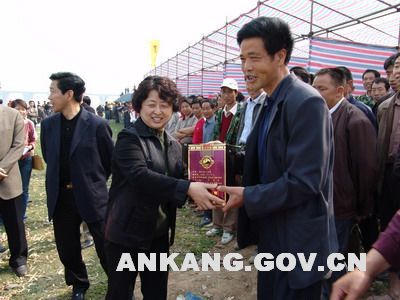 皇冠线上体育