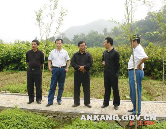 皇冠线上体育