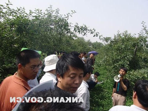 皇冠线上体育