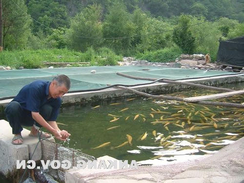 皇冠线上体育