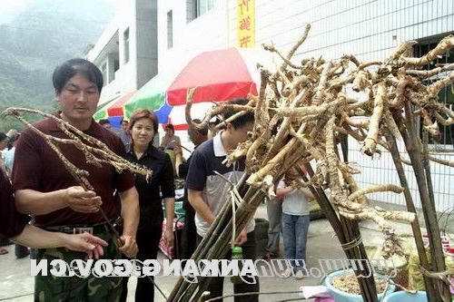 皇冠线上体育