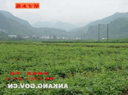 皇冠线上体育