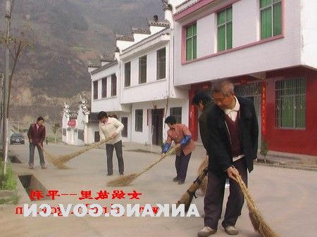皇冠线上体育