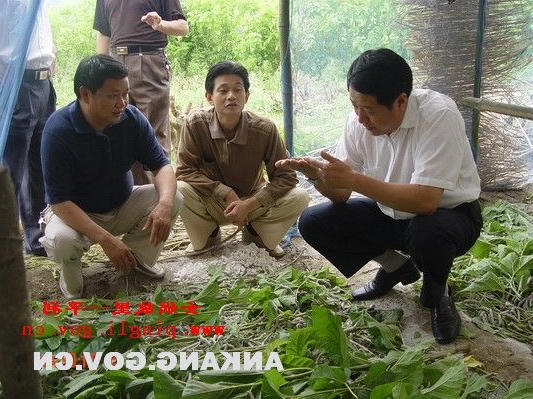 皇冠线上体育