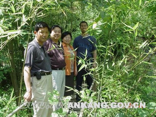 皇冠线上体育