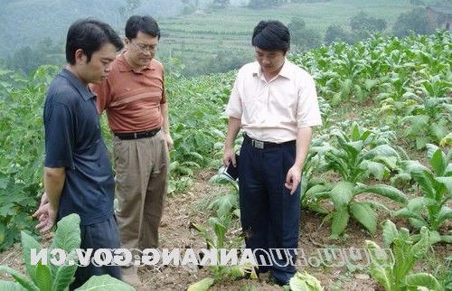 皇冠线上体育