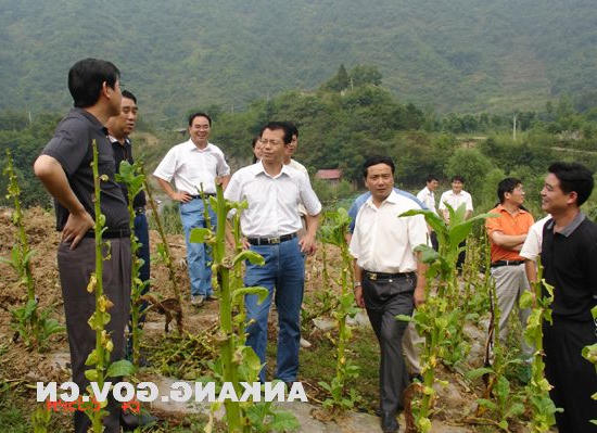 皇冠线上体育