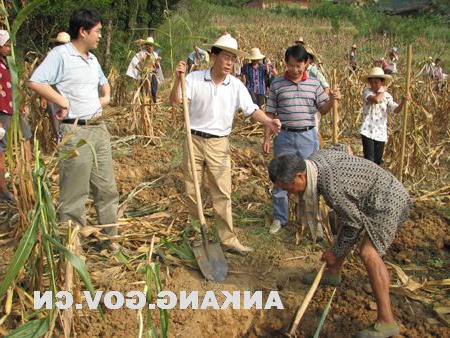 皇冠线上体育