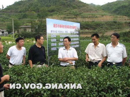 皇冠线上体育