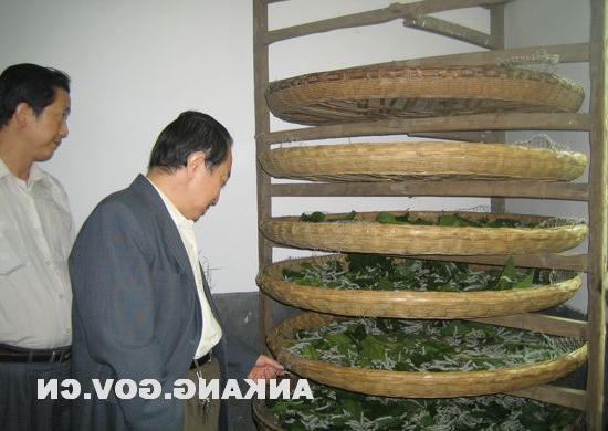皇冠线上体育
