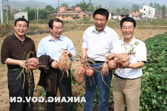 皇冠线上体育