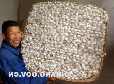皇冠线上体育