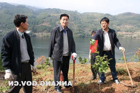 皇冠线上体育
