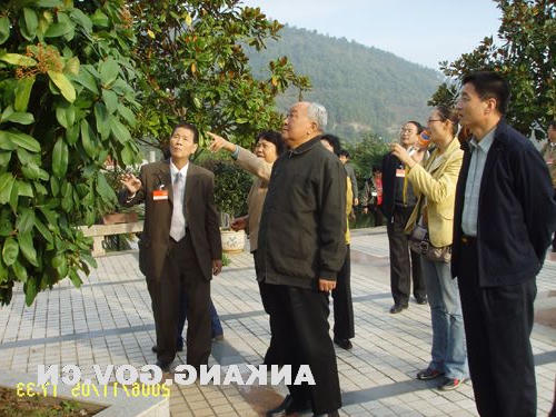 皇冠线上体育