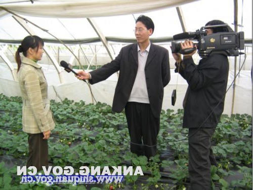 皇冠线上体育