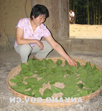 皇冠线上体育