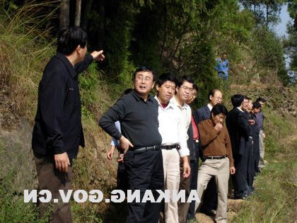 皇冠线上体育