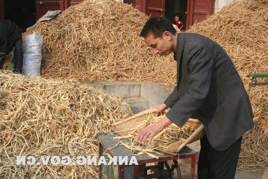 皇冠线上体育