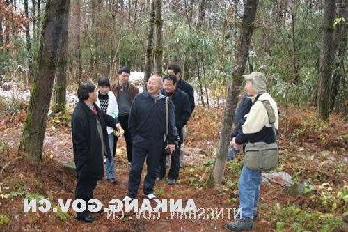 皇冠线上体育