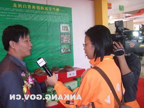 皇冠线上体育