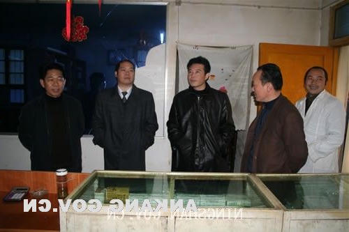 皇冠线上体育